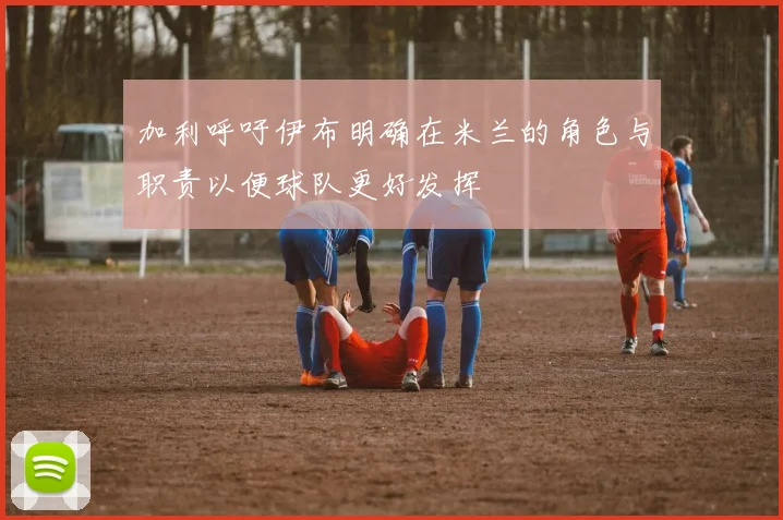 加利呼吁伊布明确在米兰的角色与职责以便球队更好发挥